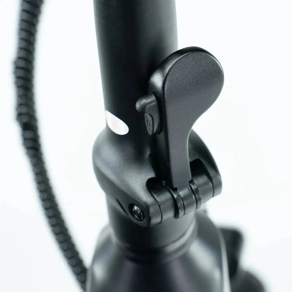 ENGWE L20 3.0 Boost - Champanhe