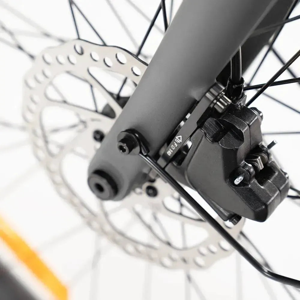 ENGWE Mapfour N1 Pro - Cinzento