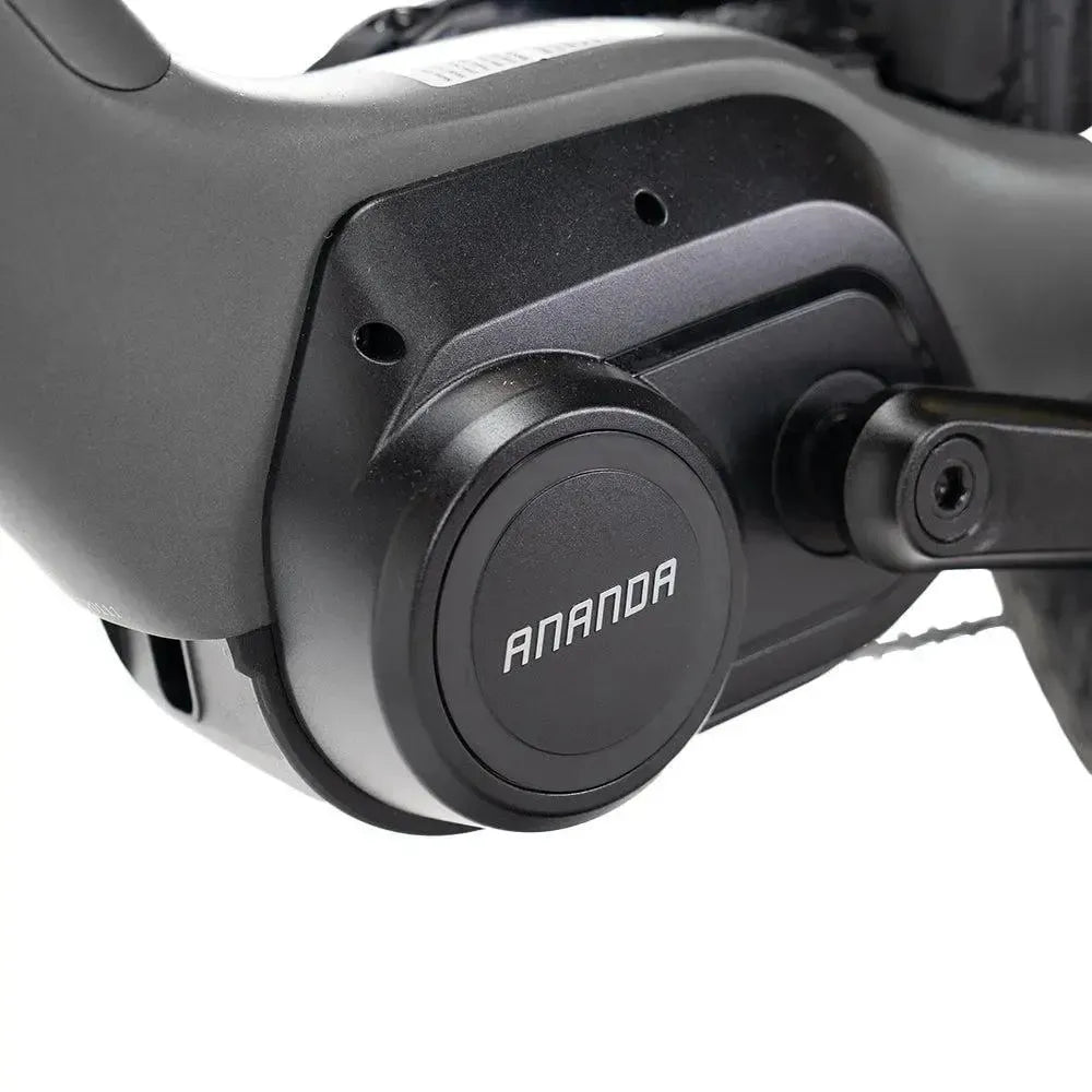 ENGWE Mapfour N1 Pro - Cinzento