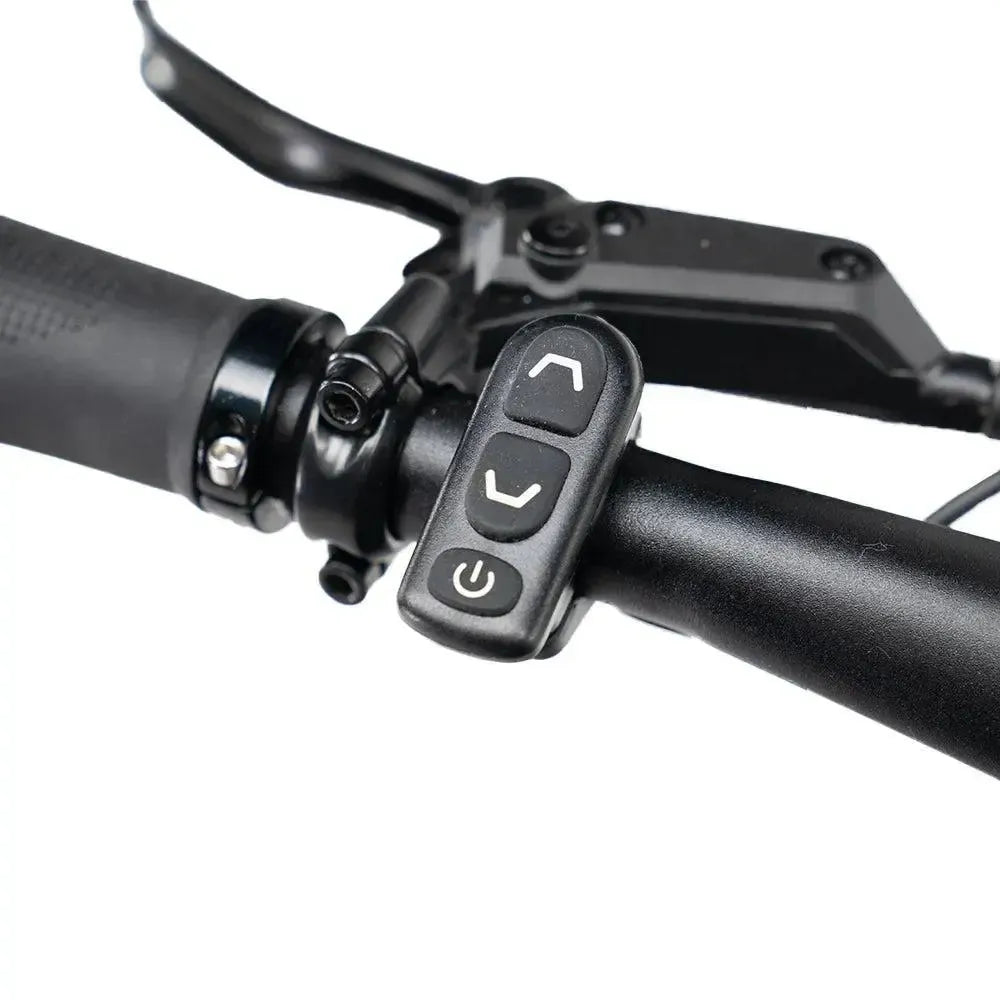 ENGWE Mapfour N1 Pro - Cinzento