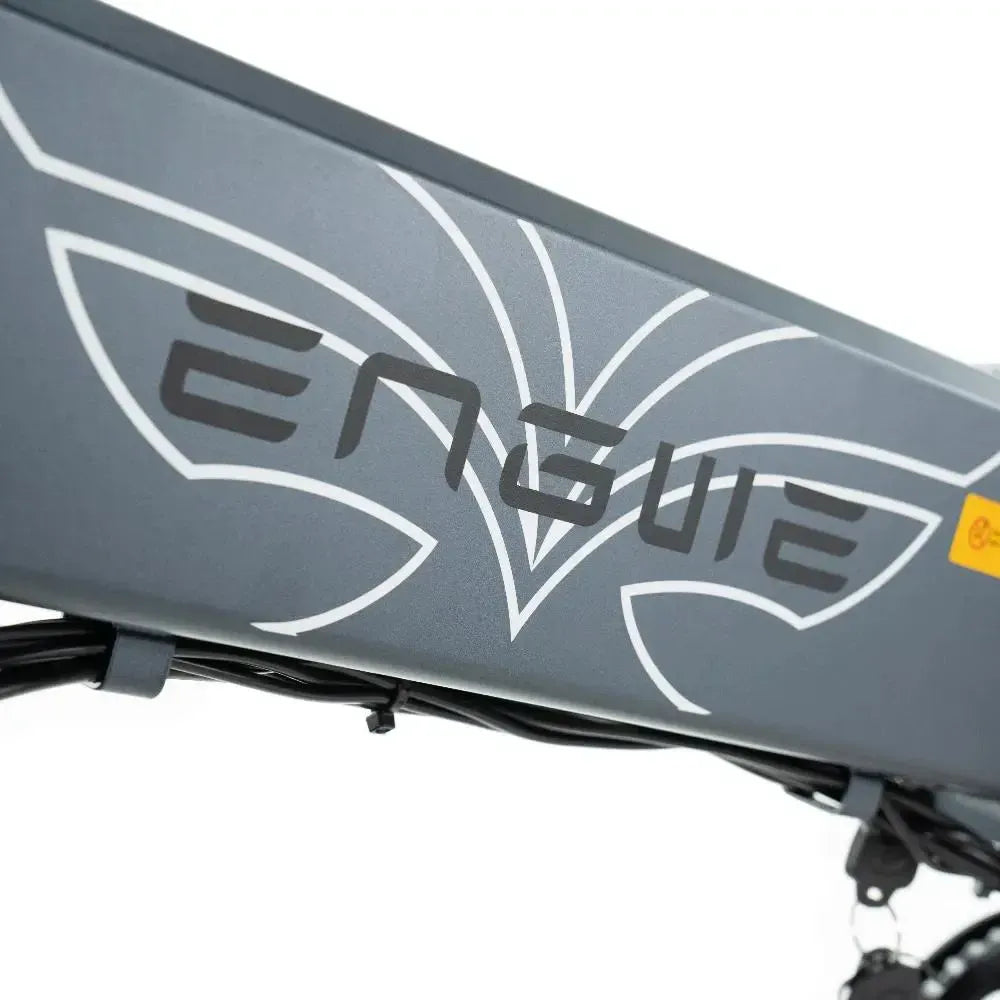 ENGWE EP 2 Pro - Cinzento