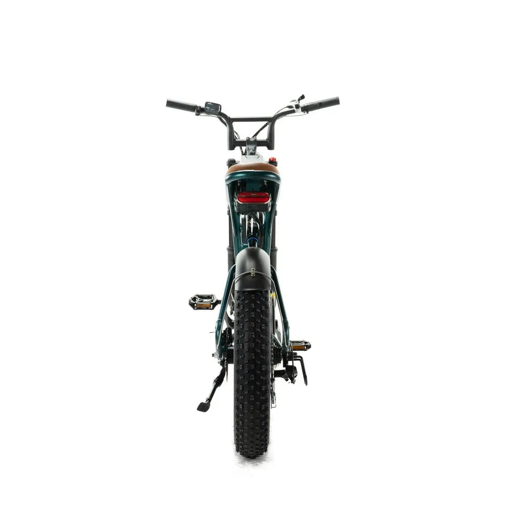 ENGWE M20 - Bateria Dupla - Verde