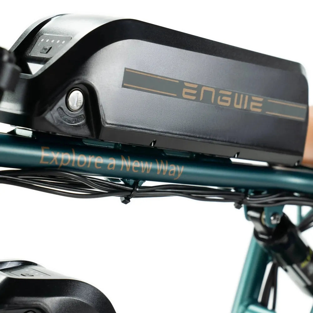 ENGWE M20 - Bateria Dupla - Verde