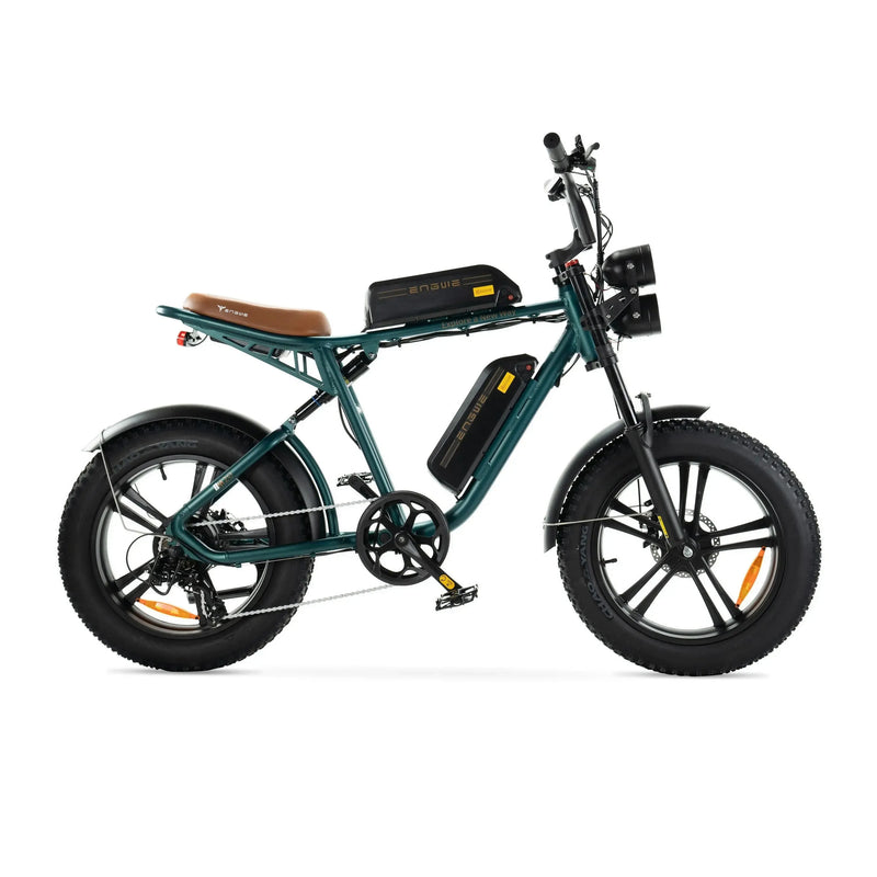 ENGWE M20 - Bateria Dupla - Verde