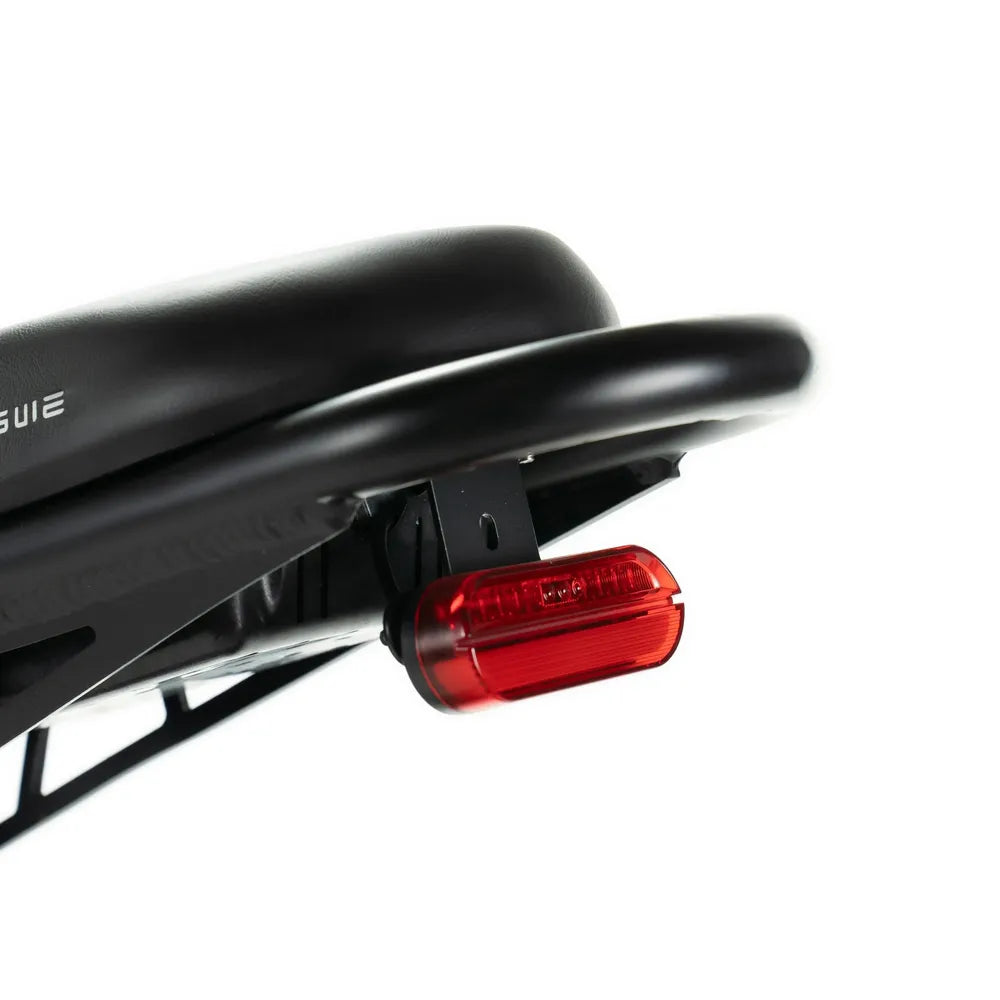 ENGWE M20 - Bateria Dupla - Preto