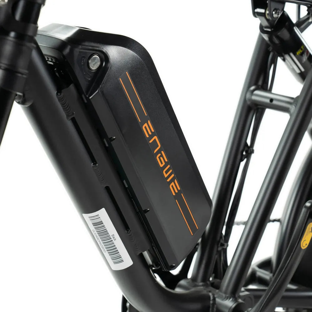 ENGWE M20 - Bateria Dupla - Preto