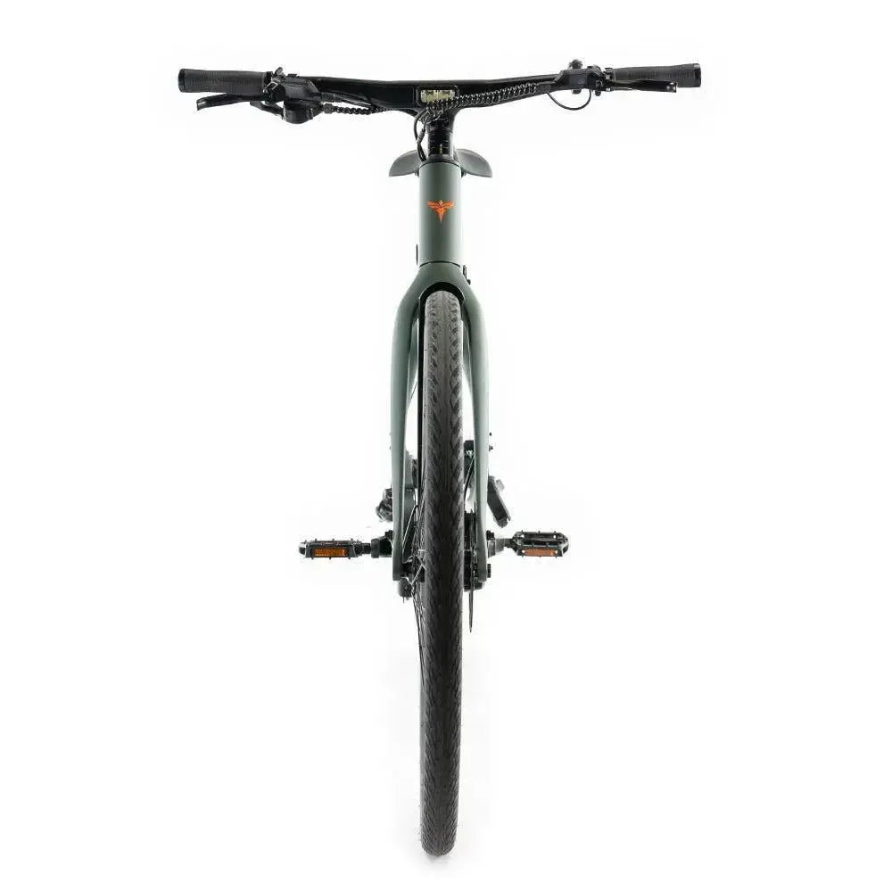 ENGWE Mapfour N1 Pro - Verde