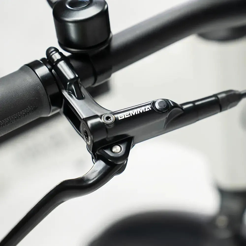 JOBOBIKE Dyno GT - Cinzento