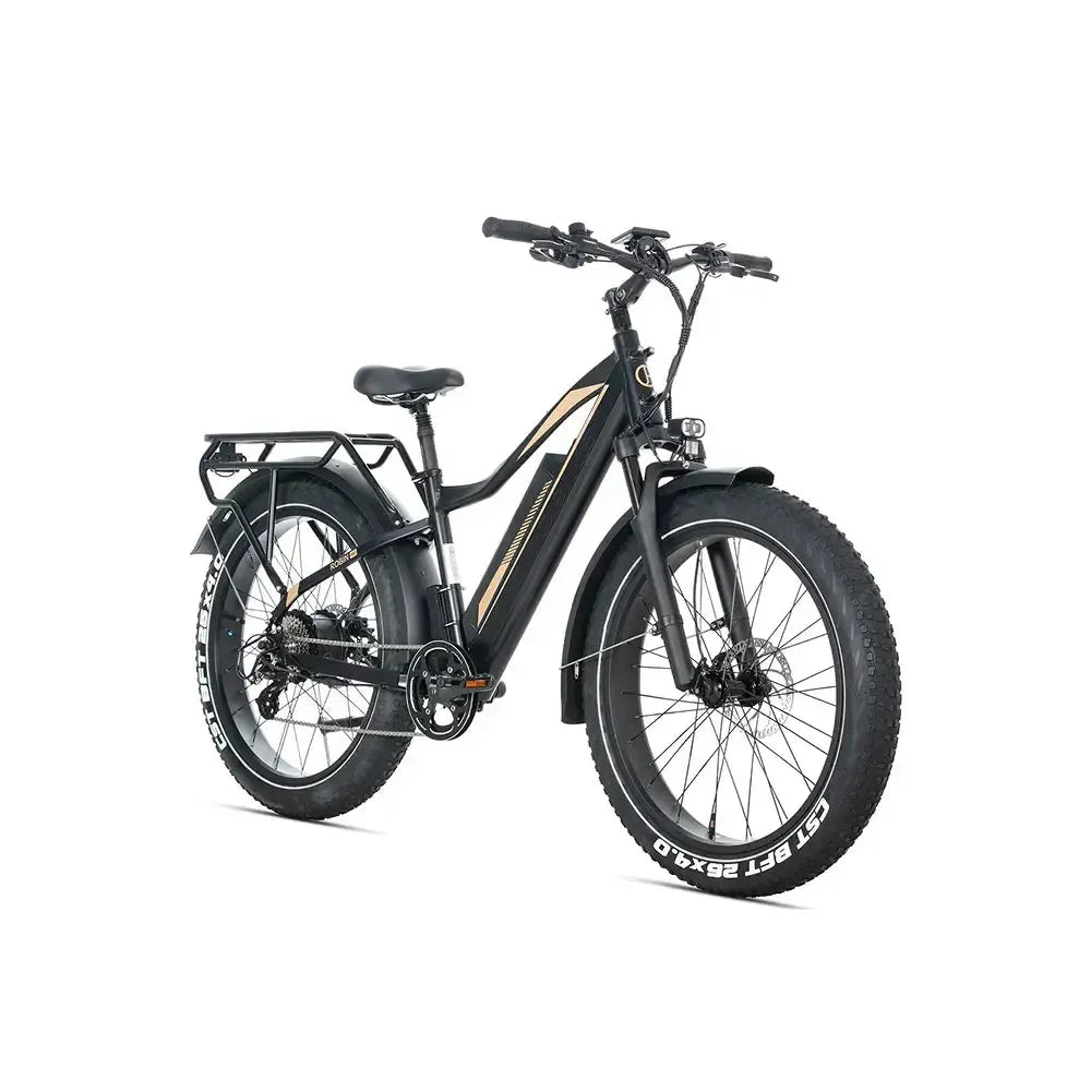 JOBOBIKE Robin Pro - Preto-dourado
