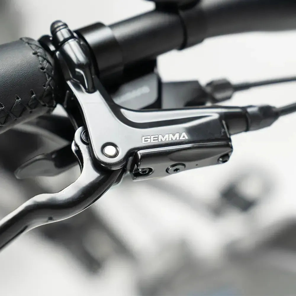 JOBOBIKE Romer Pro - Cinzento