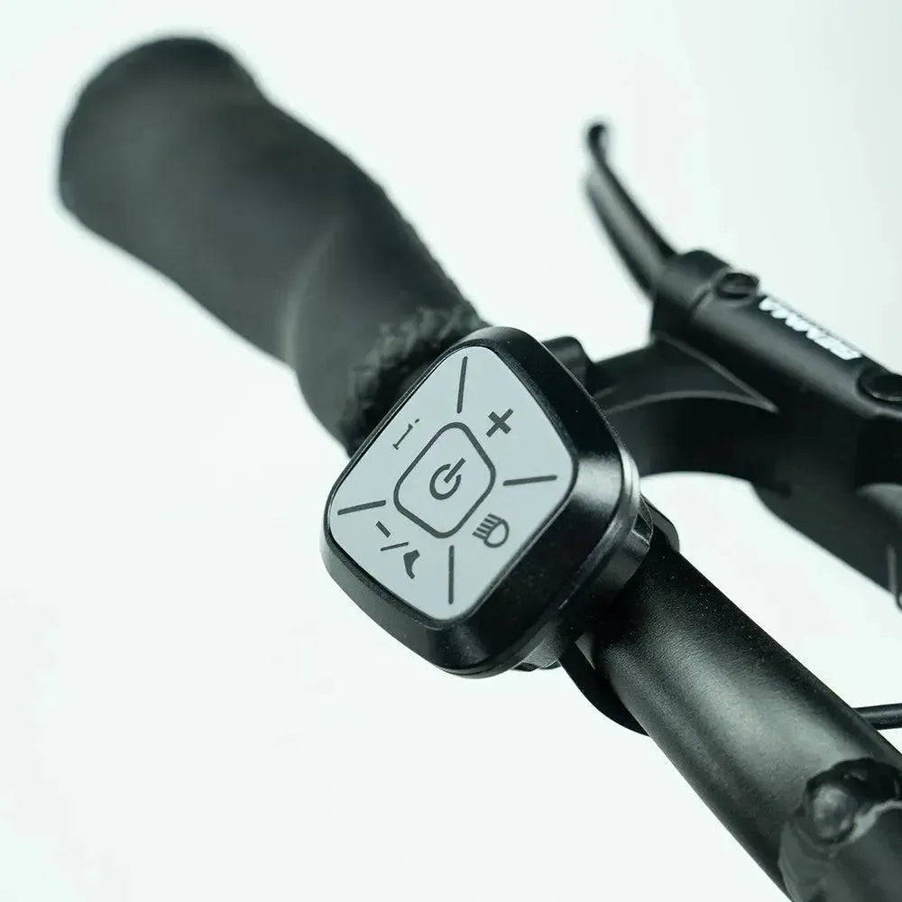 JOBOBIKE Transer - Longtail - Cinzento Prateado