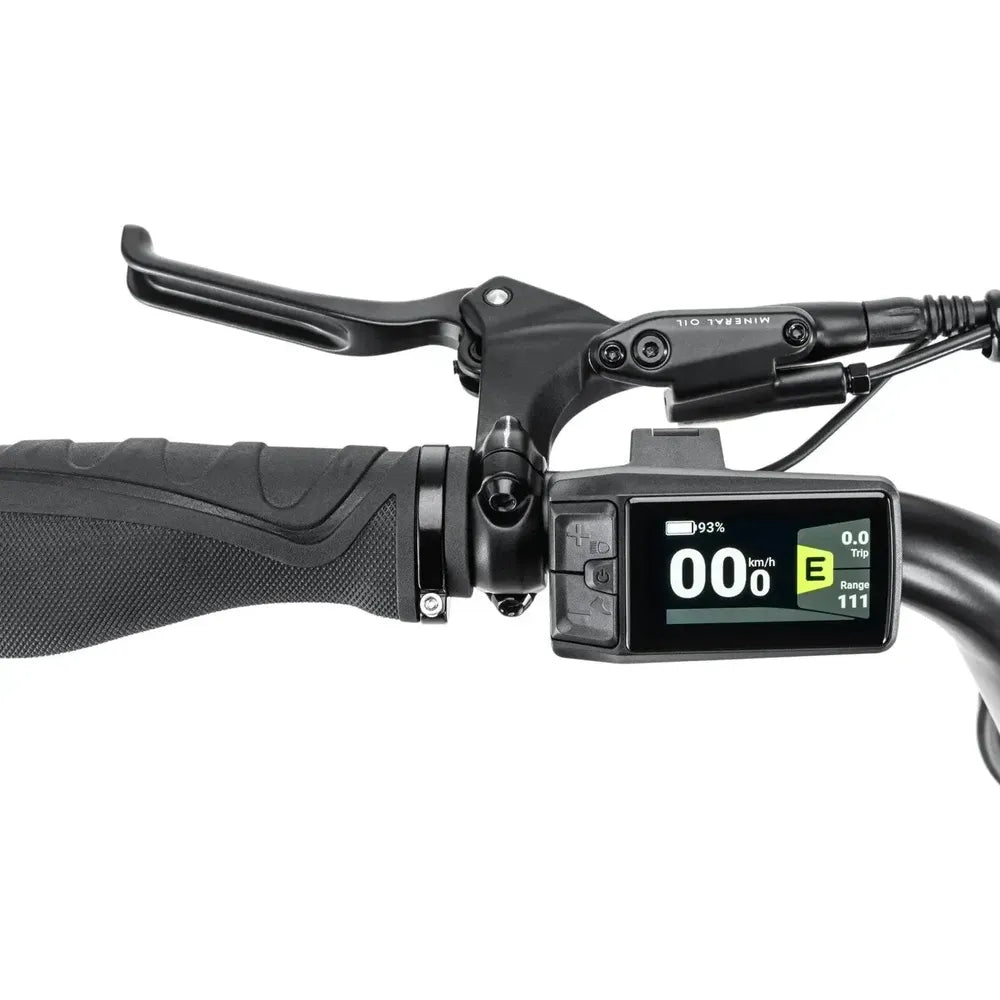 STOER Bikes Urban X - Verde