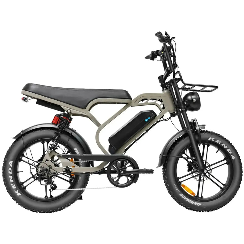 V20 Limitado - Bruin